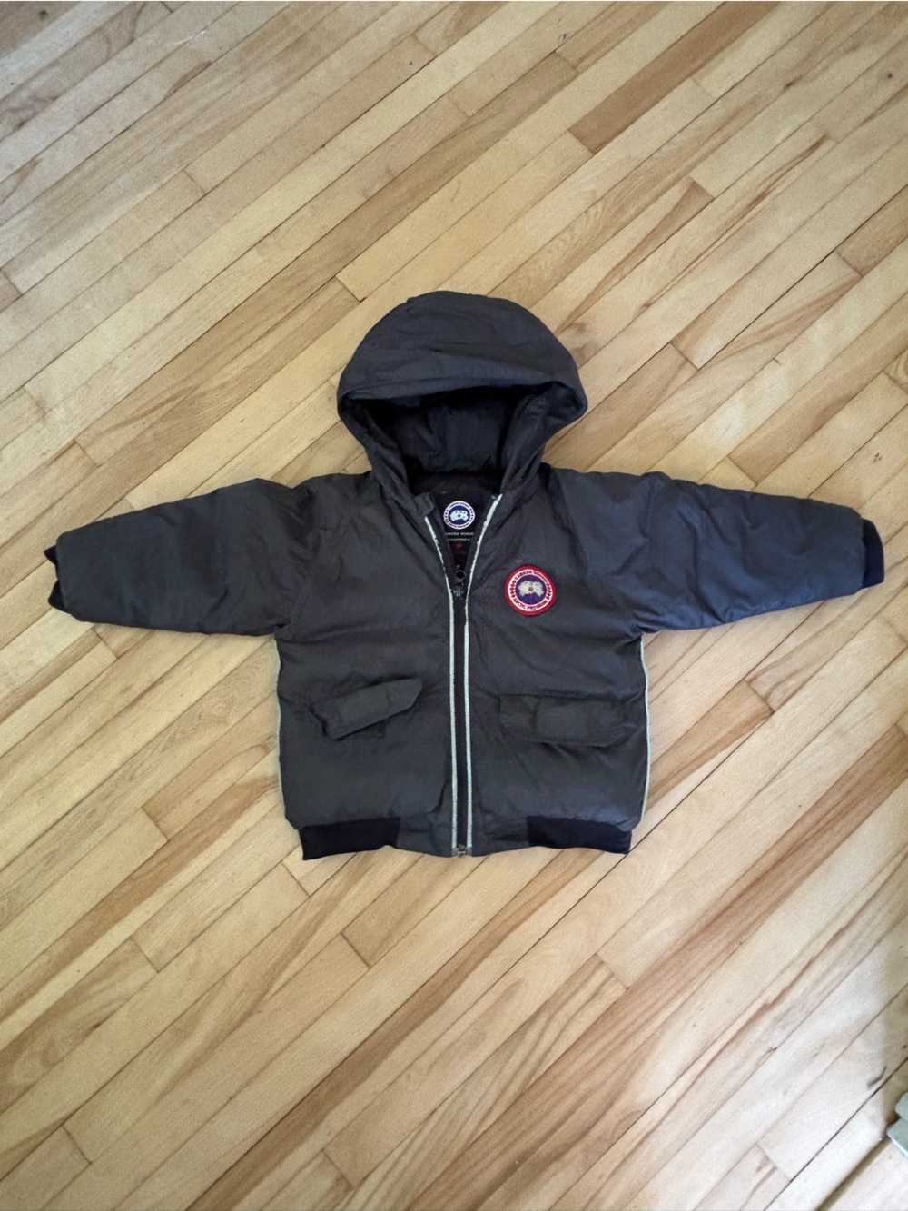 Toddler Canada Goose Graphite colour Puffer Jacket with Hood